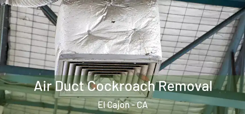  Air Duct Cockroach Removal El Cajon - CA