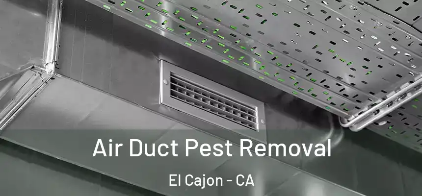 Air Duct Pest Removal El Cajon - CA