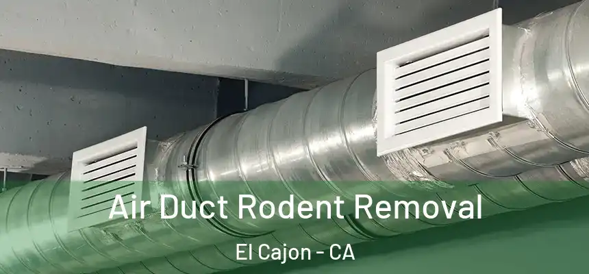 Air Duct Rodent Removal El Cajon - CA