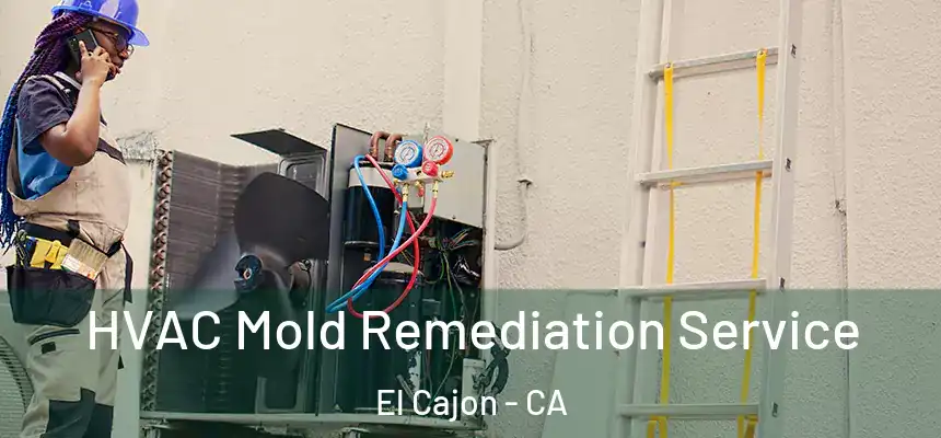  HVAC Mold Remediation Service El Cajon - CA