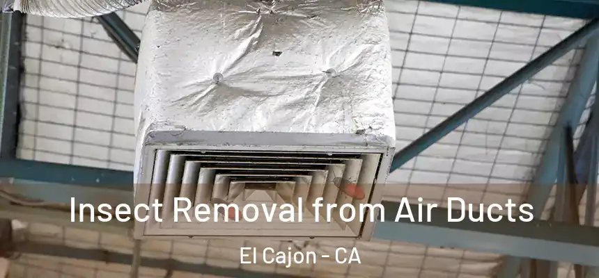  Insect Removal from Air Ducts El Cajon - CA