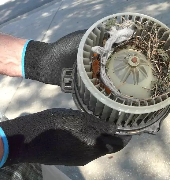 About Air Duct Rat Removal in El Cajon, CA