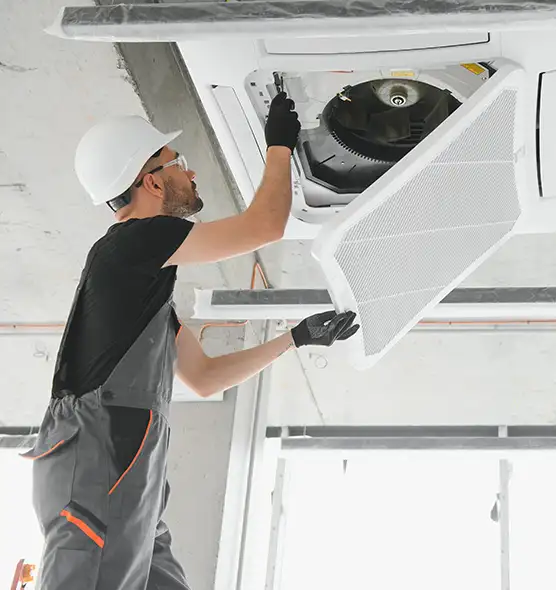 About Air Duct Rodent Removal in El Cajon, CA