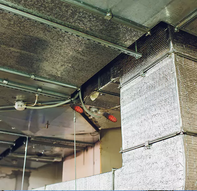 Why Homeowners & Businesses Trust Us in El Cajon, CA?