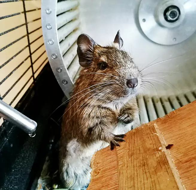 Why Homeowners & Businesses Trust Us El Cajon, CA