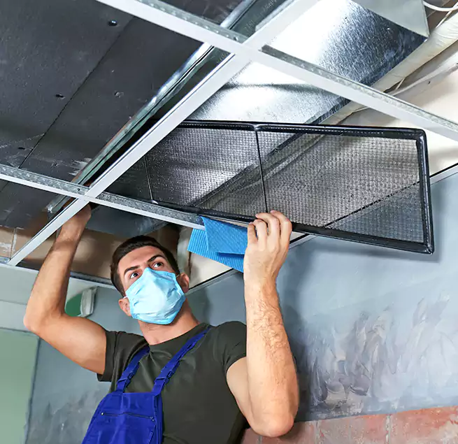 Why Homeowners Businesses Trust Us in El Cajon, CA