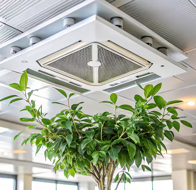 Why Homeowners & Businesses Trust Us in El Cajon, CA?